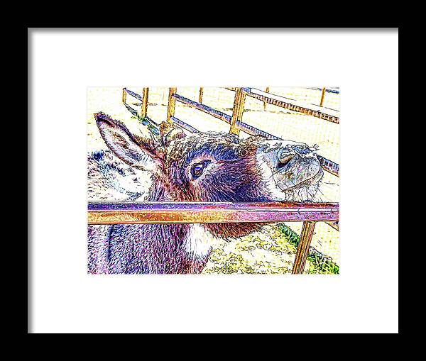 Donkey Framed Print featuring the photograph Begging For Attention by Jennifer Grossnickle