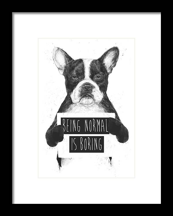 Bulldog Framed Print featuring the drawing Being normal is boring by Balazs Solti