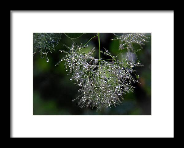 Fine Art Framed Print featuring the photograph Bejewelled Smoke by Michael Friedman