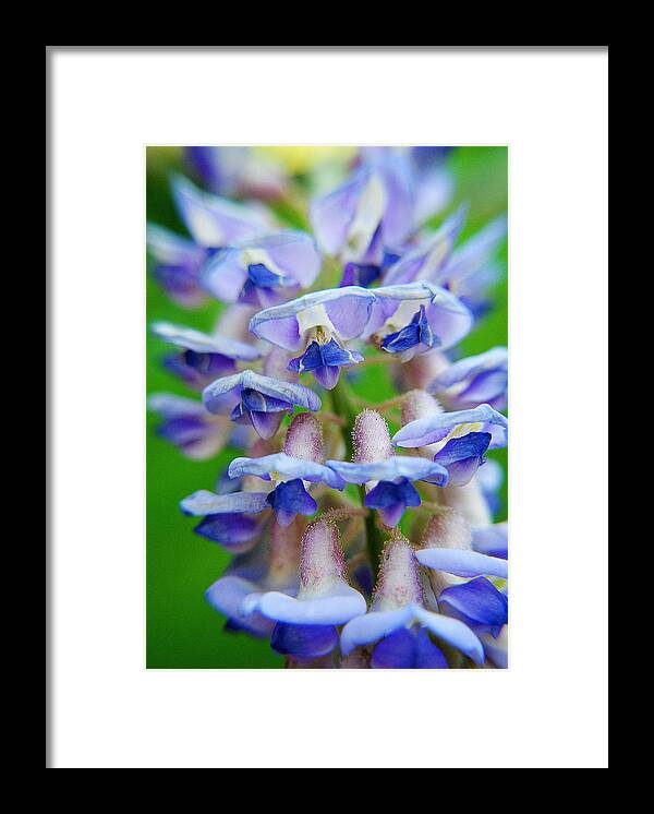 Bells Framed Print featuring the photograph Bells No Whistles by Frozen in Time Fine Art Photography