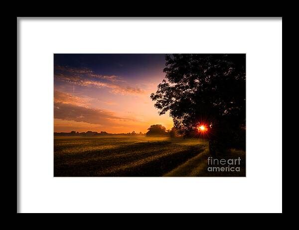 Tree Framed Print featuring the photograph Beloved Land by Franziskus Pfleghart