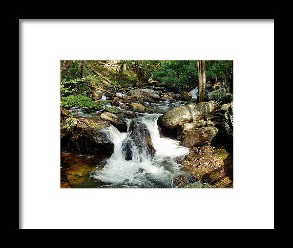 Anna Ruby Falls Framed Print featuring the photograph Below Anna Ruby Falls by Jerry Battle