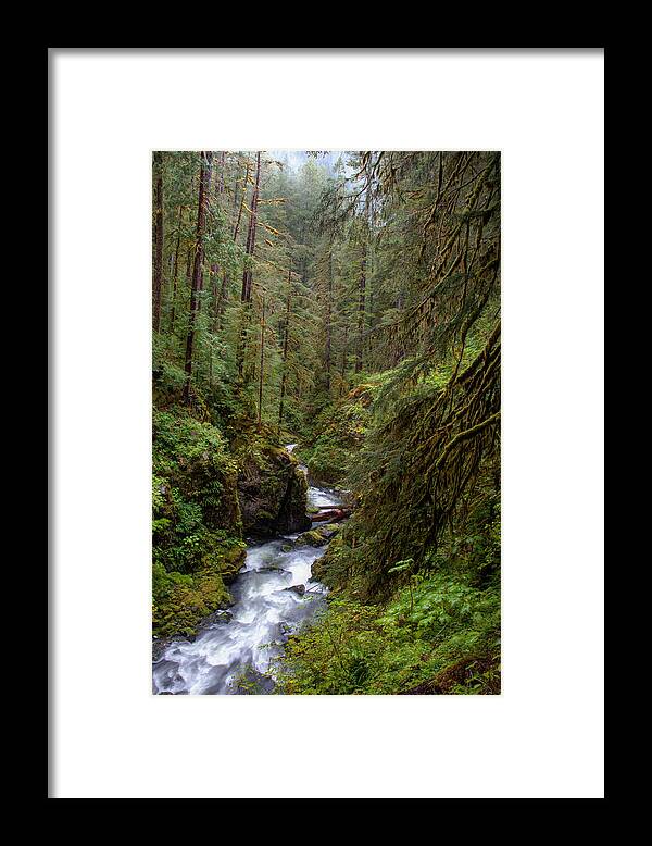 Creek Framed Print featuring the photograph Below the Falls by David Andersen