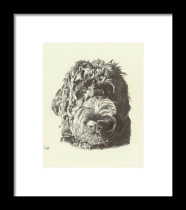 Dog Framed Print featuring the drawing Belvedere by Jon Schlote