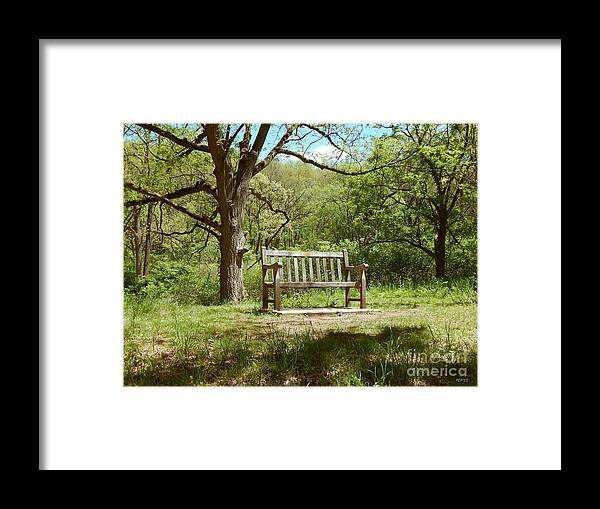 Photography Framed Print featuring the photograph Bench In Nature by Phil Perkins
