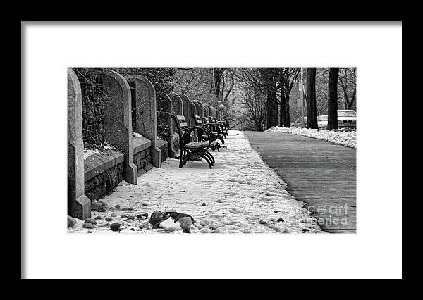 Ny Framed Print featuring the photograph Benches Snow NYC Parks Black W by Chuck Kuhn