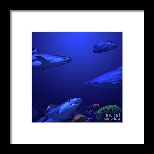 Ocean Framed Print featuring the photograph Beneath the Surface by Andrea Silies