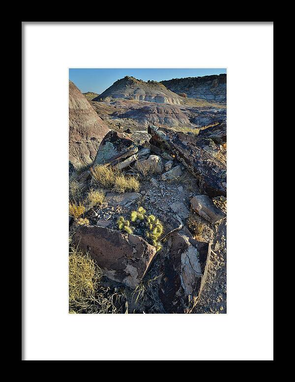 Redlands Mesa Framed Print featuring the photograph Bentonite Dunes of Redlands Mesa by Ray Mathis