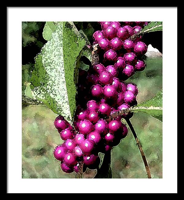 Berries Framed Print featuring the photograph Berries by George Gadson