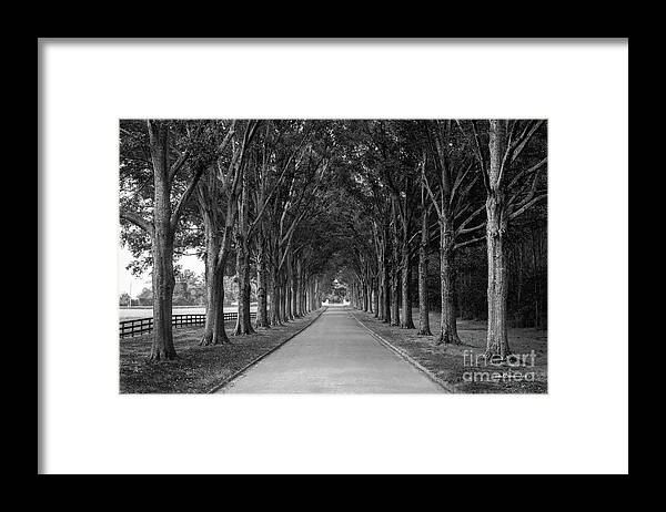 Berry College Framed Print featuring the photograph Berry College Memory Lane by University Icons