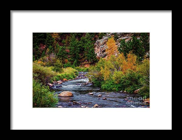 Jon Burch Framed Print featuring the photograph Beside a Mountain Stream by Jon Burch Photography