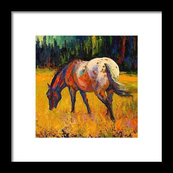 Horses Framed Print featuring the painting Best End Of An Appy by Marion Rose