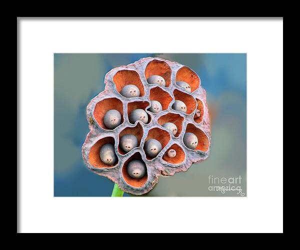 Flora Framed Print featuring the photograph Best seats in the house. by Mariarosa Rockefeller
