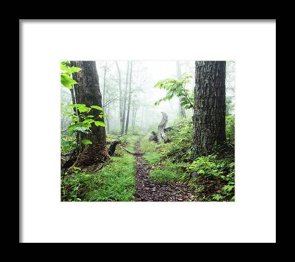 Path Framed Print featuring the photograph Between by Alan Raasch