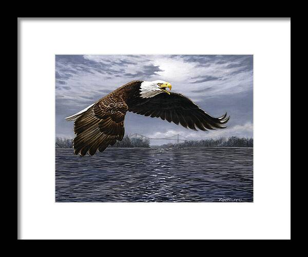 Bald Eagle Framed Print featuring the painting Between Nations by Richard De Wolfe