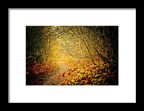 Mystery Framed Print featuring the photograph Beyond by Maggie Terlecki