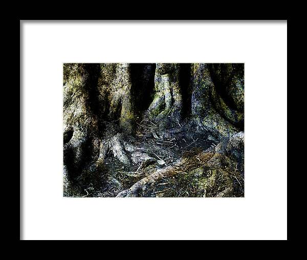 Tree Framed Print featuring the photograph Beyond the Forest Edge by Kelly King