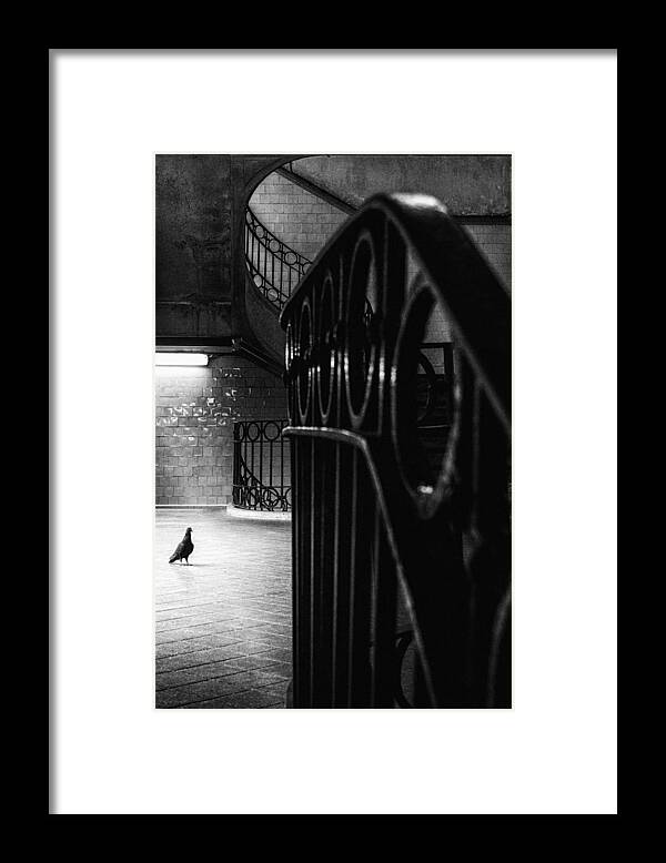 Architecture Framed Print featuring the photograph Big Bird In A Small Cage by Laura Mexia
