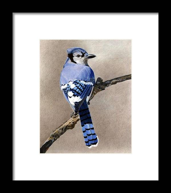 Blue Framed Print featuring the drawing Big Blue Jay by Ana Tirolese