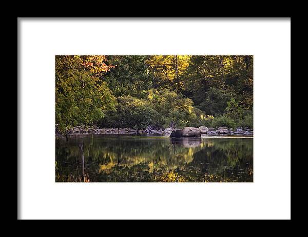 Fall Color Framed Print featuring the photograph Big Bull in Buffalo National River Fall Color by Michael Dougherty