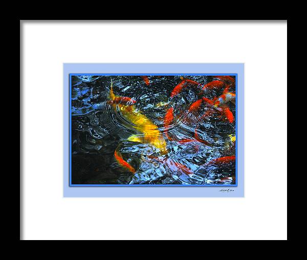 Koi Framed Print featuring the photograph Big FIsh Little fish by Linda Olsen