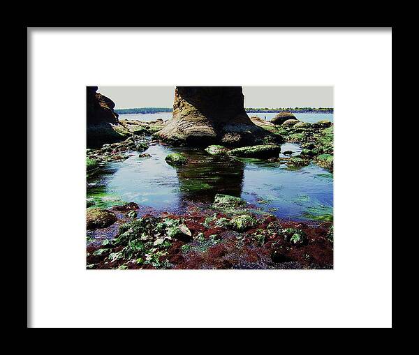 Ocean Framed Print featuring the photograph Big Foot by Julie Rauscher