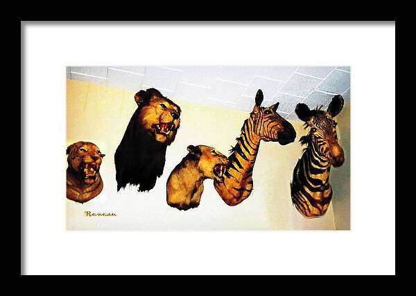 Zebras Framed Print featuring the photograph BIG GAME AFRICA - ZEBRAS and LIONS by A L Sadie Reneau