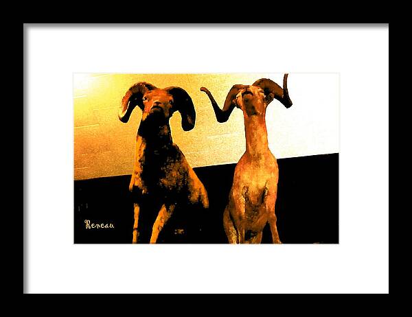 Animals Framed Print featuring the photograph Big Game Canada - Fannin Sheep by A L Sadie Reneau