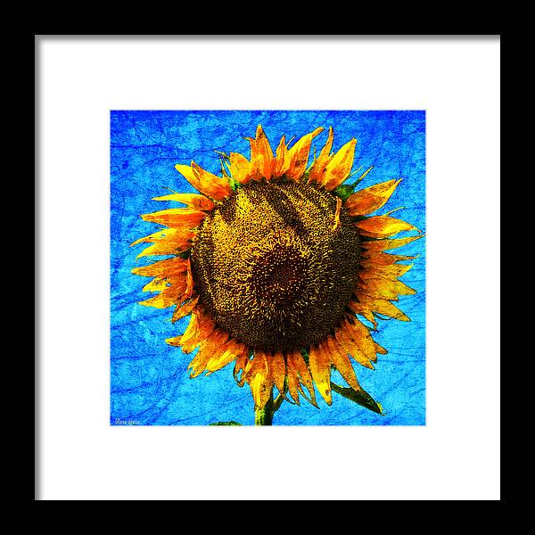 Sunflower Framed Print featuring the photograph Big Sunflower by Anna Louise