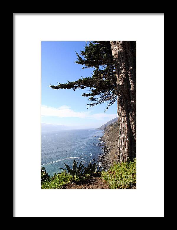 Coast Framed Print featuring the photograph Big Sur Coastline by Linda Woods