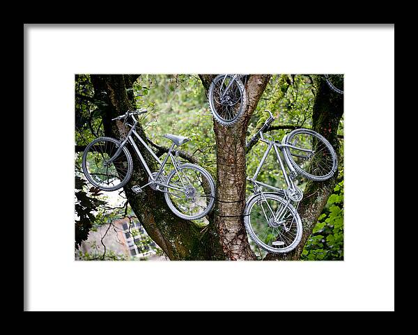 Bike Framed Print featuring the photograph Bikes in a Tree by Helen Jackson
