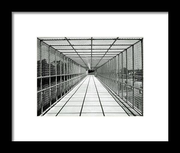 Biking Bridge Framed Print featuring the photograph Biking Bridge by Pat Moore