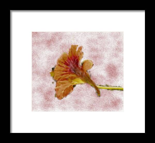 Artistic Framed Print featuring the photograph Bindweed paiterly 1. by Leif Sohlman