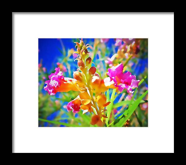 Flowers  Trees Framed Print featuring the photograph Bingo by Marvin Seiger