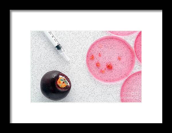 Analysis Framed Print featuring the photograph Biological Experiment in Science Research Lab by Olivier Le Queinec