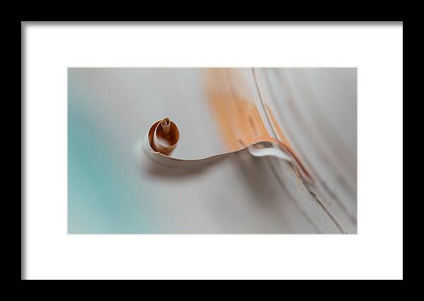 Abstract Framed Print featuring the photograph Birch Bark by Jakub Sisak