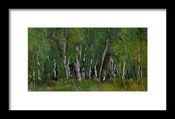Birch Tree Panorama Framed Print featuring the pastel Birch Tree Panorama by David Patterson