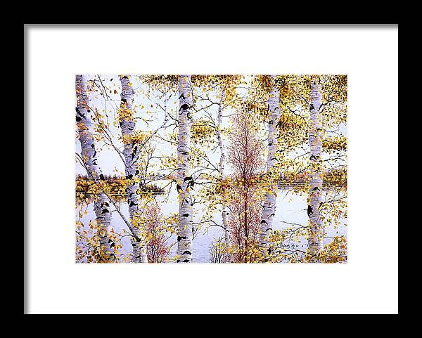 Birch-trees Framed Print featuring the painting Birch-Trees at lake of Bays by Conrad Mieschke