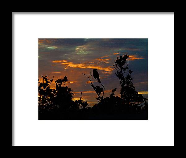 Sunset Framed Print featuring the photograph Bird At Sunset by Mark Blauhoefer