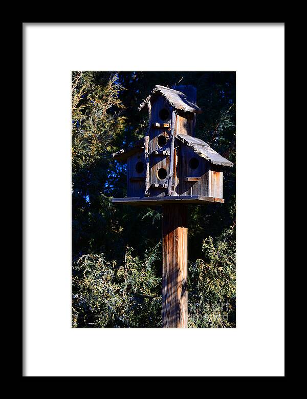 Rustic Framed Print featuring the photograph Bird Condos by Robert WK Clark