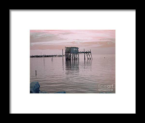 Dock Framed Print featuring the photograph Bird Dock by Deborah Ferree