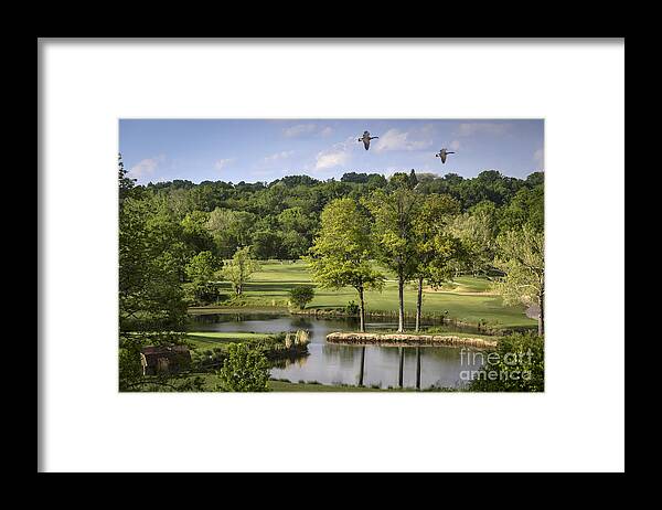 Quail Creek Framed Print featuring the photograph Birdie on Back Nine by Andrea Silies