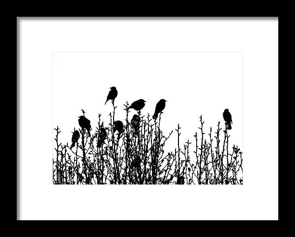 Redwinged Framed Print featuring the photograph Birdies by Cheryl McClure