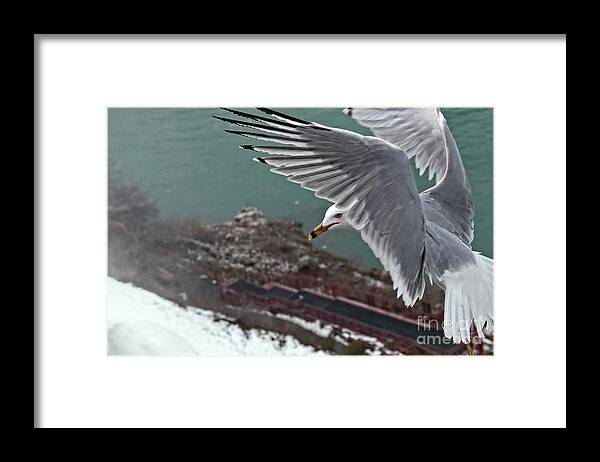 Niagara Falls Framed Print featuring the photograph Bird's Eye View by Charline Xia