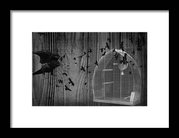 Wild Bird Framed Print featuring the photograph Birds Gone Wild In Black And White by Suzanne Powers