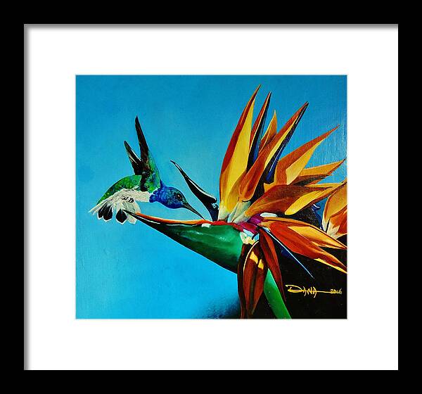 Birds Framed Print featuring the painting Birds of Paradise with White necked Jacobin hummingbird by Dana Newman