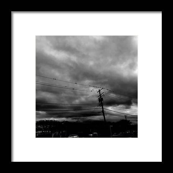 Birds Framed Print featuring the photograph Birds on a Wire 2018 by Chris Montcalmo