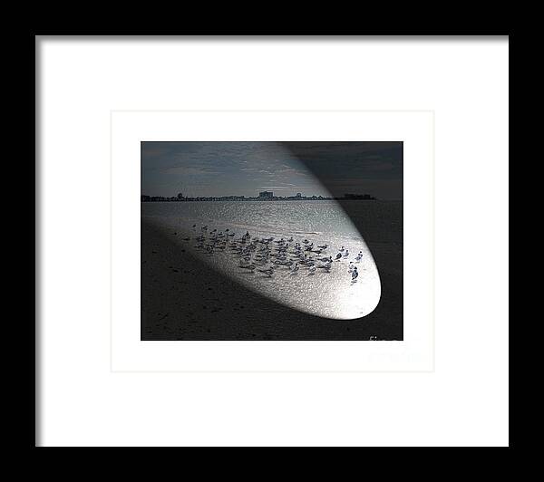 Beach Framed Print featuring the digital art Birds on Beach by Karen Francis