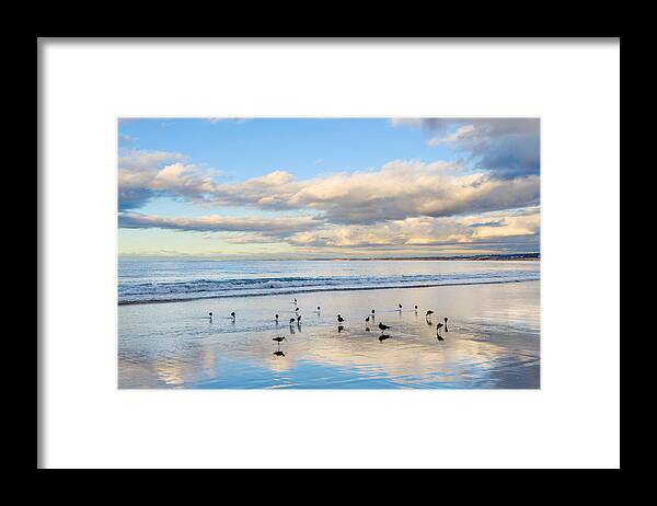 Birds Framed Print featuring the photograph Birds on the Beach by Derek Dean