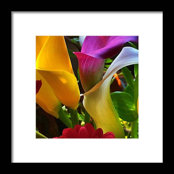 Birthday Framed Print featuring the photograph Birthday Flowers by Anne Thurston